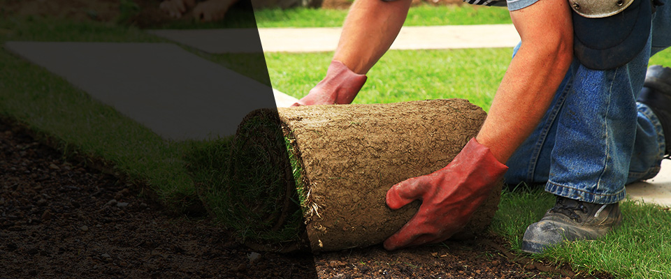 Ridgeville Landscapers